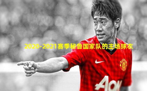 2020-2021赛季秘鲁国家队的主场球衣