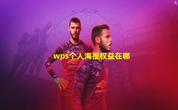 wps个人海报权益在哪