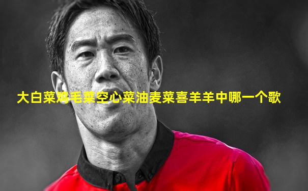 大白菜鸡毛菜空心菜油麦菜喜羊羊中哪一个歌