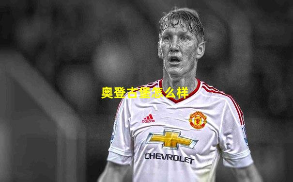 奥登古堡怎么样