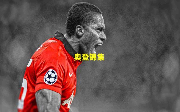 奥登锦集