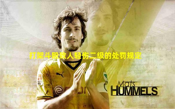 打架斗殴致人轻伤二级的处罚规定