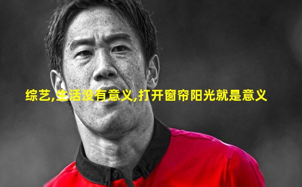 综艺,生活没有意义,打开窗帘阳光就是意义