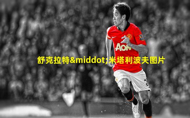 舒克拉特·米塔利波夫图片