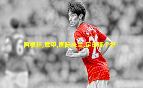 阿根廷,意甲,国际米兰,足球哪个好