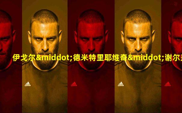 伊戈尔·德米特里耶维奇·谢尔盖耶夫
