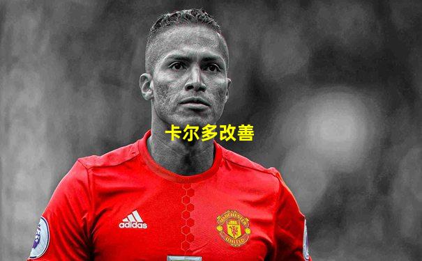 卡尔多改善