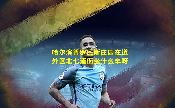 哈尔滨普罗旺斯庄园在道外区北七道街坐什么车呀