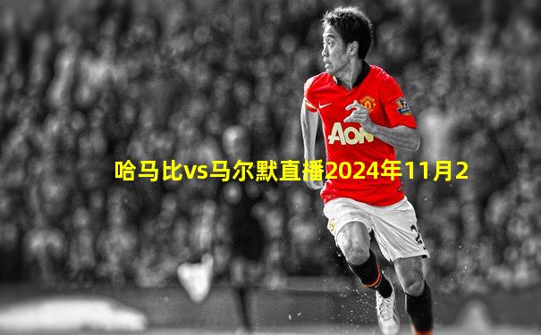哈马比vs马尔默直播2024年11月2