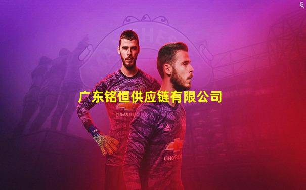 广东铭恒供应链有限公司