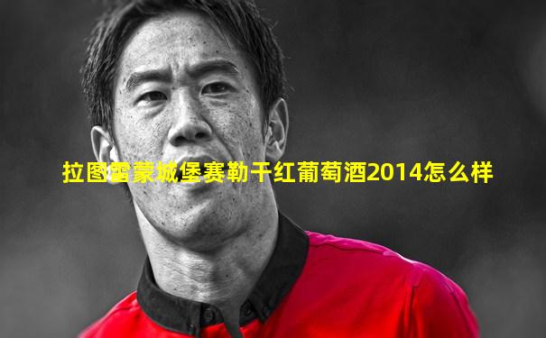 拉图雷蒙城堡赛勒干红葡萄酒2014怎么样